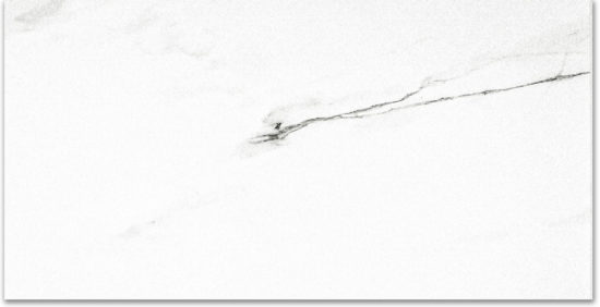 Polished Infatuation 24X48 | Tile Center