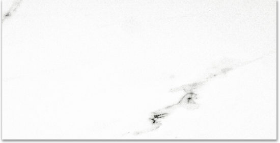 Polished Infatuation 24X48 | Tile Center