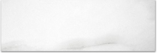 Polished Infatuation 4X12 | Tile Center