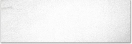 Polished Infatuation 4X12 | Tile Center