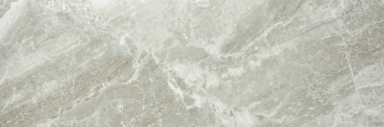 Polished Inspiration 4X12 | Tile Center