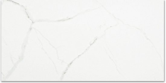 Polished Love 12X24 | Tile Center