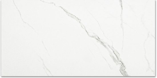 Polished Love 12X24 | Tile Center