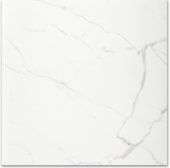 Polished Love 24X24 | Tile Center