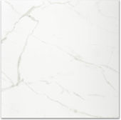 Polished Love 24X24 | Tile Center