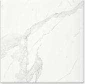 Polished Love 24X24 | Tile Center