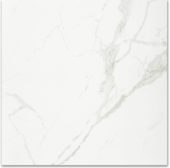 Polished Love 24X24 | Tile Center