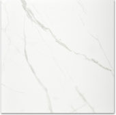 Polished Love 24X24 | Tile Center
