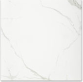 Polished Love 24X24 | Tile Center