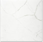 Polished Love 24X24 | Tile Center