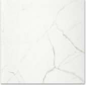 Polished Love 24X24 | Tile Center