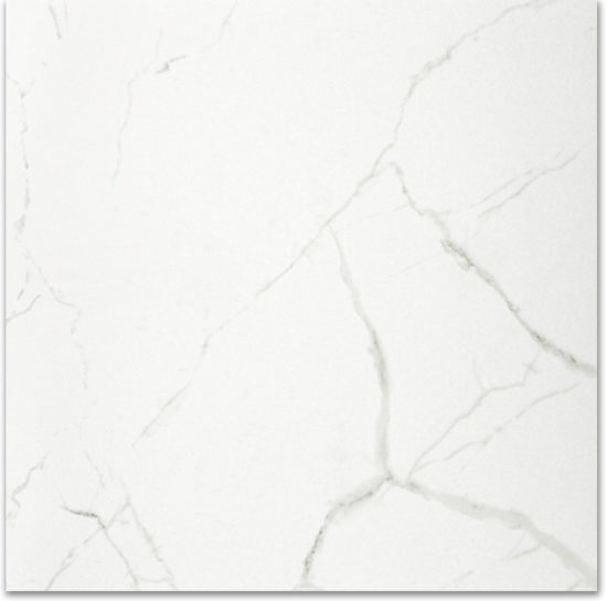 Polished Love 24X24 | Tile Center