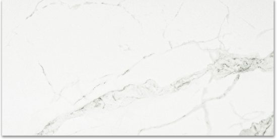 Polished Love 24X48 | Tile Center