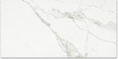 Polished Love 24X48 | Tile Center