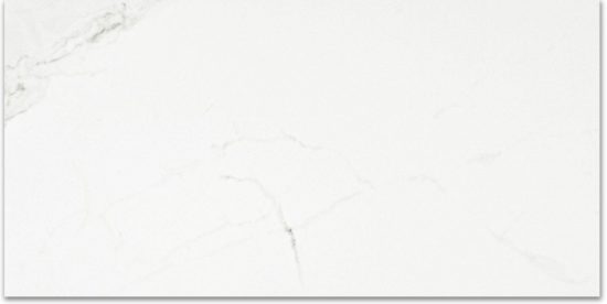 Polished Love 24X48 | Tile Center