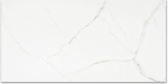 Polished Love 24X48 | Tile Center