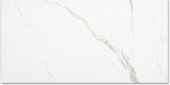 Polished Love 24X48 | Tile Center