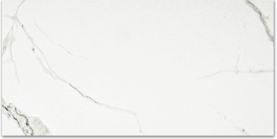 Polished Love 24X48 | Tile Center