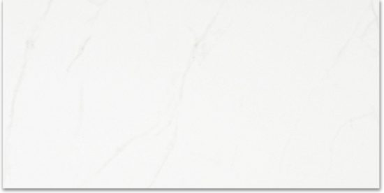 Polished Love 24X48 | Tile Center