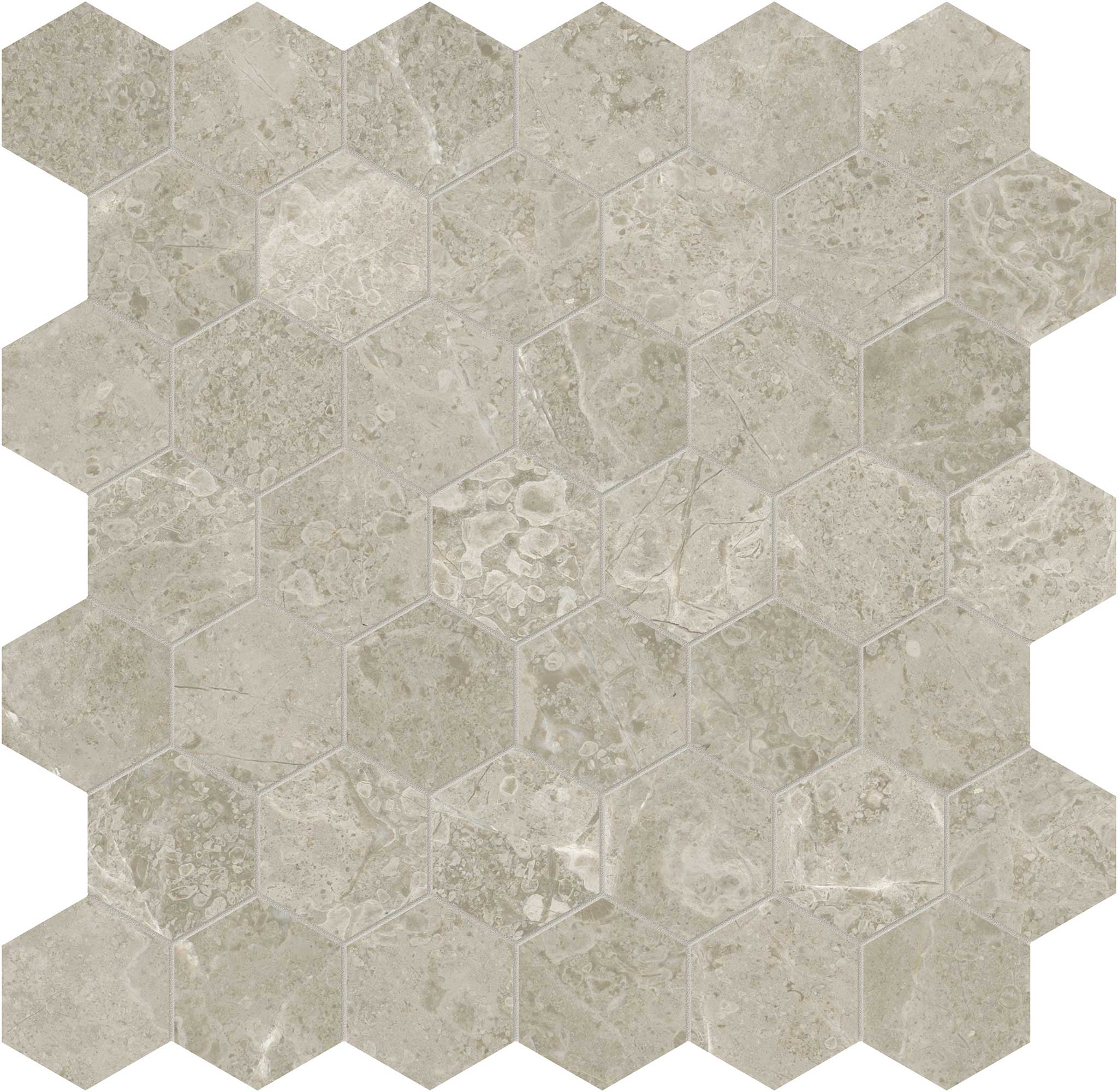 Ritz Gray 2 Hexagon Mosaic