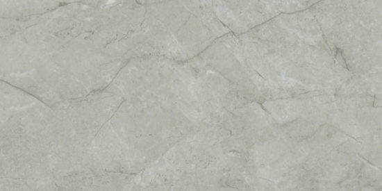 Roma Argento Honed 12X24 | Tile Center