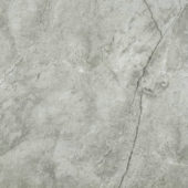 Roma Argento Honed 24X24 | Tile Center