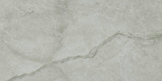 Roma Argento Honed 24X48 | Tile Center