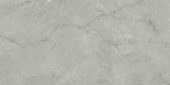 Roma Argento Honed 24X48 | Tile Center
