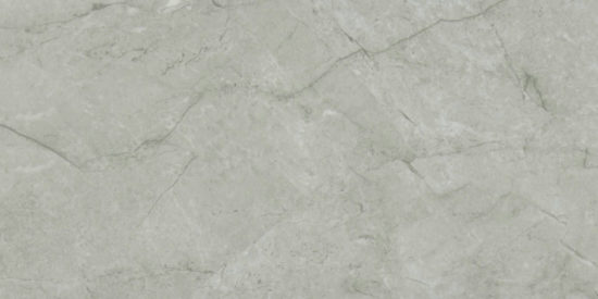 Roma Argento Honed 24X48 | Tile Center