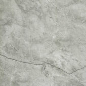 Roma Argento Honed 32X32 | Tile Center