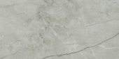 Roma Argento Polished 12X24 | Tile Center