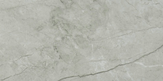 Roma Argento Polished 12X24 | Tile Center
