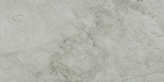 Roma Argento Polished 12X24 | Tile Center