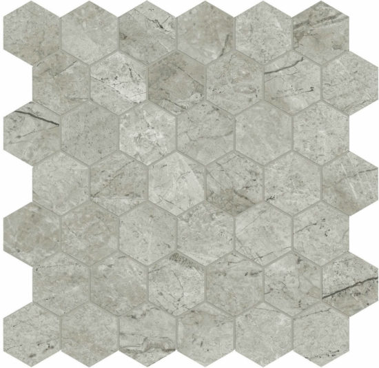 Roma Argento Polished 2 | Tile Center
