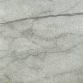 Roma Argento Polished 24X24 | Tile Center