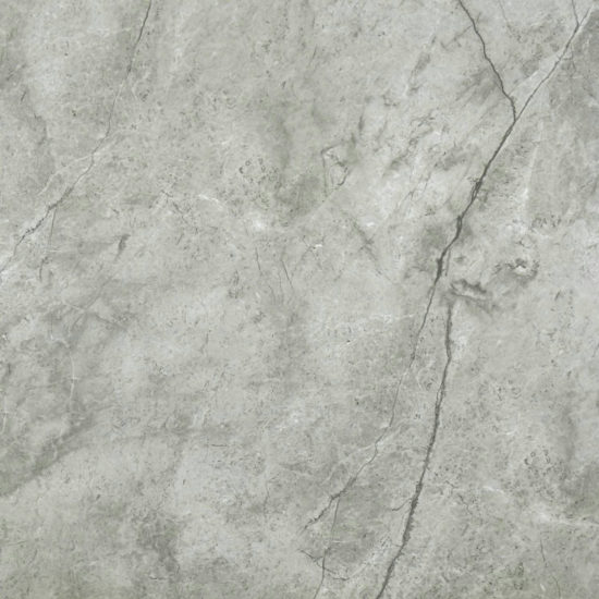 Roma Argento Polished 24X24 | Tile Center