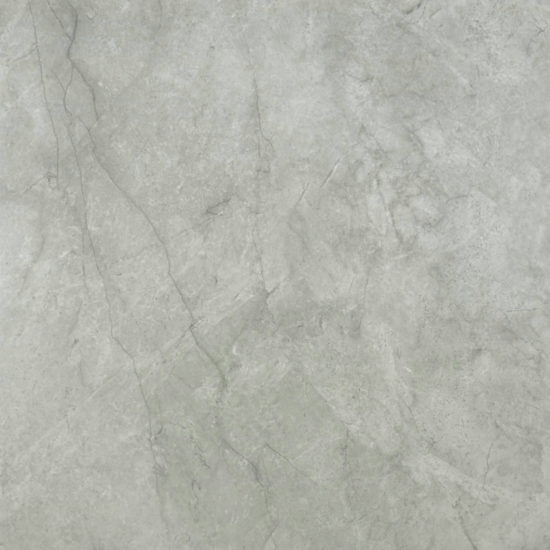 Roma Argento Polished 24X24 | Tile Center