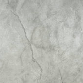 Roma Argento Polished 24X24 | Tile Center