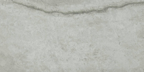 Roma Argento Polished 24X48 | Tile Center