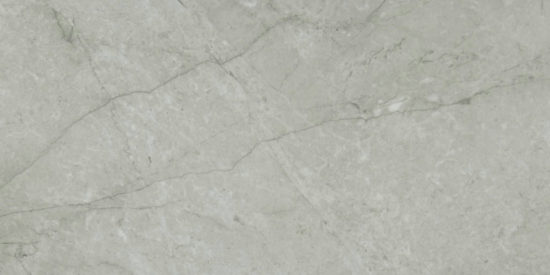 Roma Argento Polished 24X48 | Tile Center