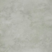 Roma Argento Polished 32X32 | Tile Center