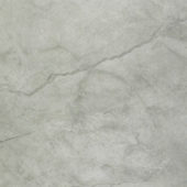 Roma Argento Polished 32X32 | Tile Center
