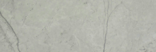 Roma Argento Polished 4X12 | Tile Center