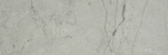 Roma Argento Polished 4X12 | Tile Center
