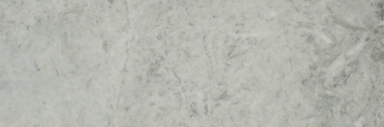 Roma Argento Polished 4X12 | Tile Center
