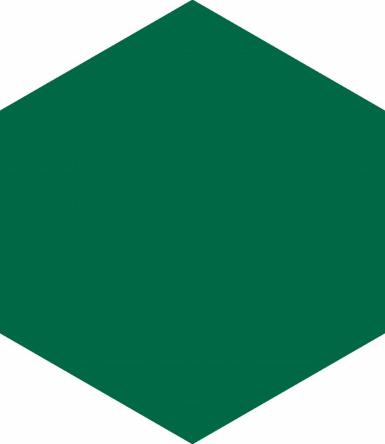 Ronda 5.5X6.3” Green Hexagon | Tile Center