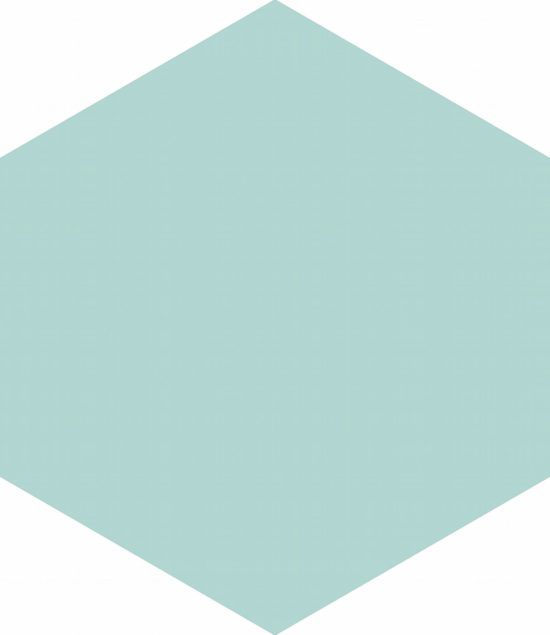 Ronda 5.5X6.3” Mint Hexagon | Tile Center