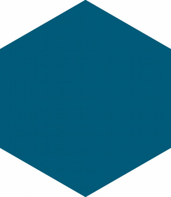 Ronda 5.5X6.3” Navy Blue Hexagon | Tile Center