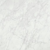 San Giulio Gioia Polished 24X24 | Tile Center