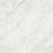 San Giulio Gioia Polished 24X24 | Tile Center